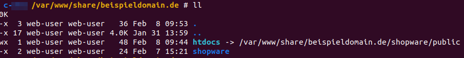DocumentRoot-SSH-Befehl-Symlink-anlegen