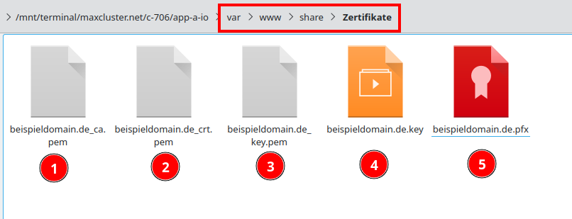 SSL-Zertifikat-PFXinPEM-Konvertieren-Ordner-Zertifikate-Alle-Dateien